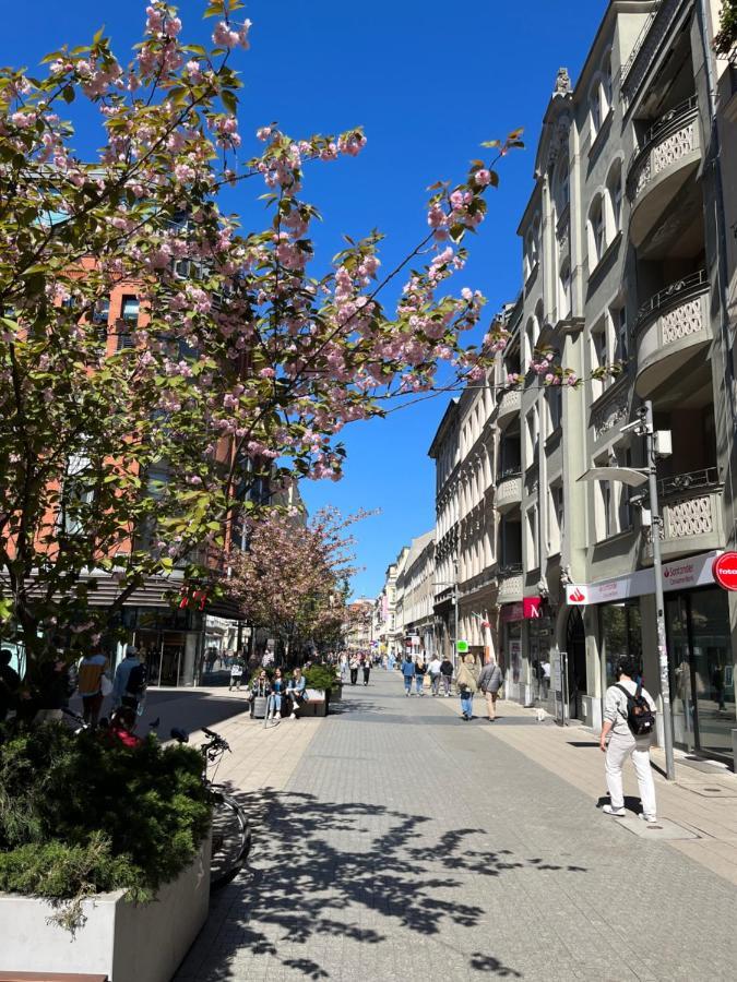 Sloneczny Apartament Centrum Poznania Klimatyzacja Wi-Fi Tv Zmywarka Pralka Piekarnik 외부 사진